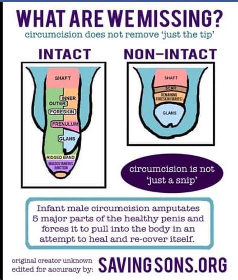 u18chan|How does it feel to be circumcised vs uncircumcised